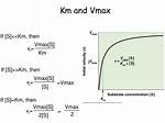 What Does Vmax Km Mean