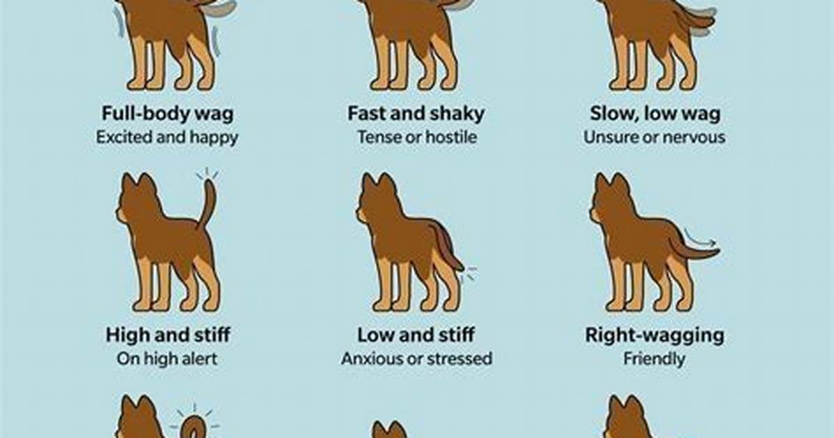 What Does Wagging School Mean?