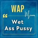 What Does Wap Stand for?