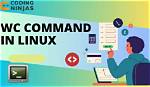 What Does Wc Do in Linux?