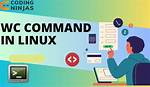 What Does Wc Mean Linux?