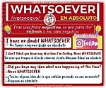 What Does Whatsoever Mean?