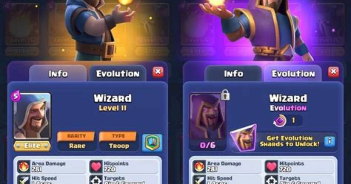 What Does Wizard Do?