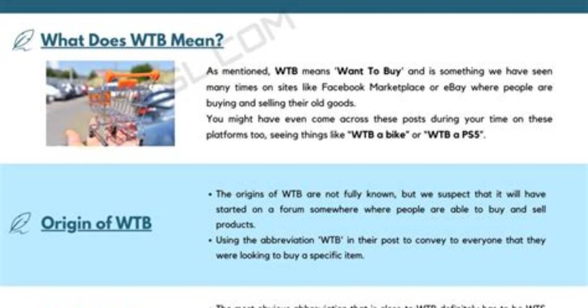 What Does Wtb Mean