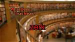 What Does Zerk Stand For
