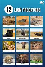 What Eats Lions