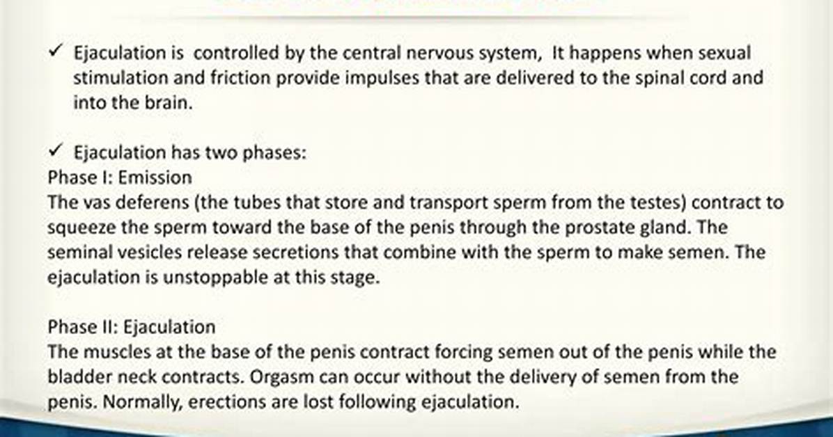 What Ejaculation Does to the Brain?