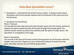 What Ejaculation Does to the Brain?