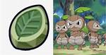 What Evolves with a Leaf Stone?