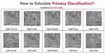 What Fingerprint Pattern Is Primary Classification