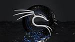 What Format Does Kali Linux Use?