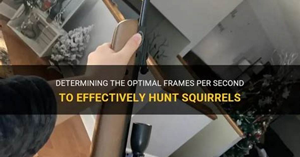 What Fps Will Kill a Squirrel?