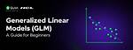 What Glm: :Normalize Does?