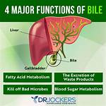What Increases Bile Flow