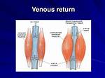 What Increases Venous Return?