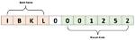 What Is a Branch in Code