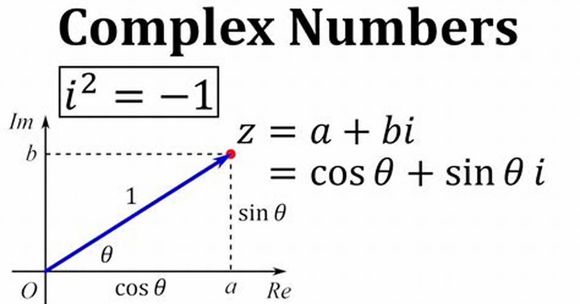 What Is a Complex Vector?