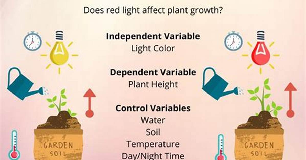 What Is a Controlled Variable