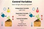 What Is a Controlled Variable