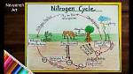 What Is a Cycle Class?