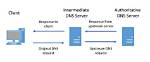 What Is a Dns Pointer