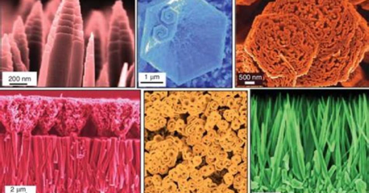What Is a False Colored Microscope?