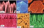 What Is a False Colored Microscope?