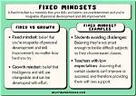 What Is a Fixed Mindset Example?