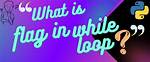 What Is a Flag in Python While Loops? [Closed]