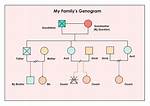 What Is a Genogram