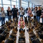 What Is a Handler? [Closed]