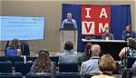 What Is a Iavm Program