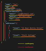 What Is a Json Element