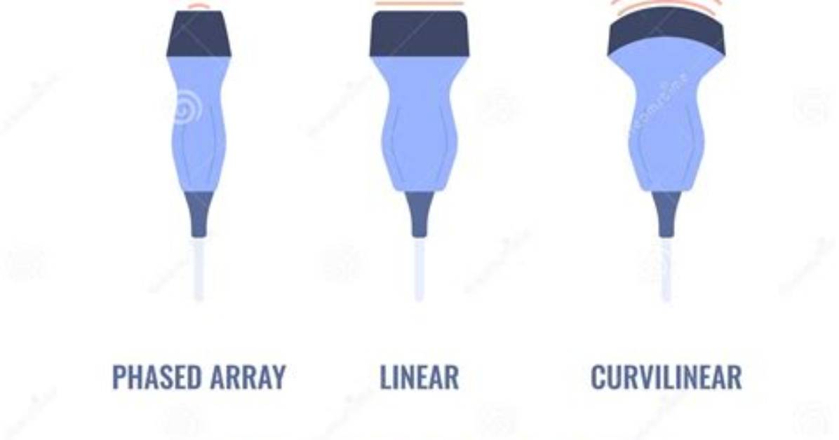 What Is a Linear Array Transducer?