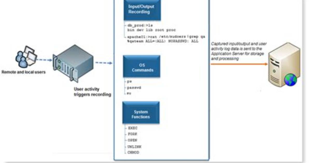 What Is a Linux Agent?