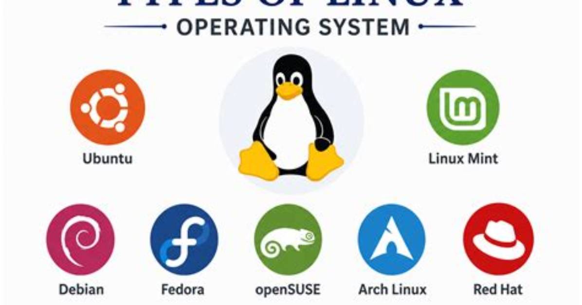What Is a Linux?