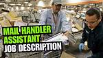 What Is a Mail Handler Assistant?