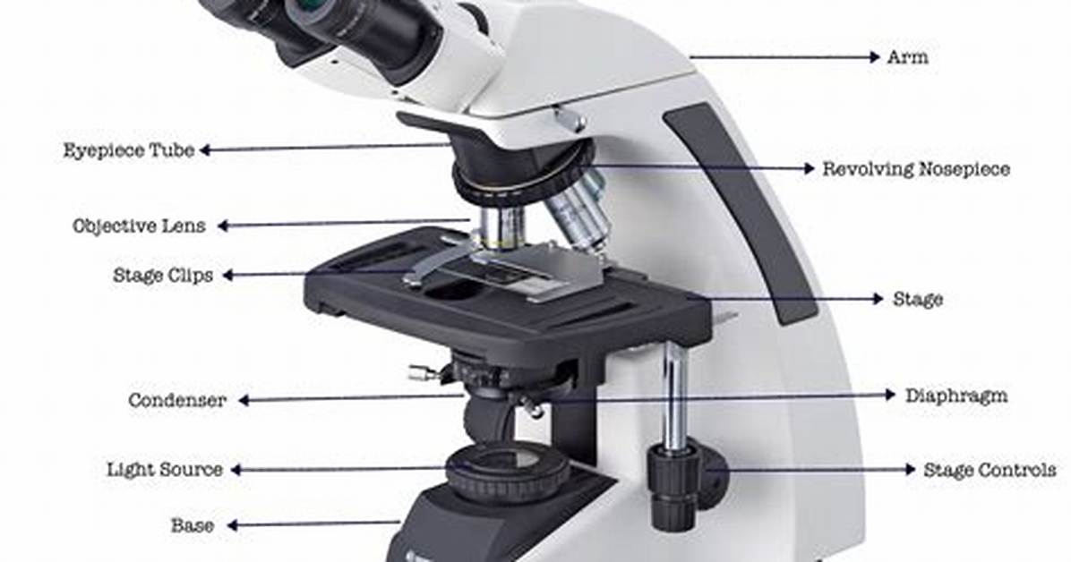 What Is a Microscope