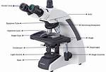 What Is a Microscope