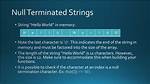 What Is a Null-Terminated String?