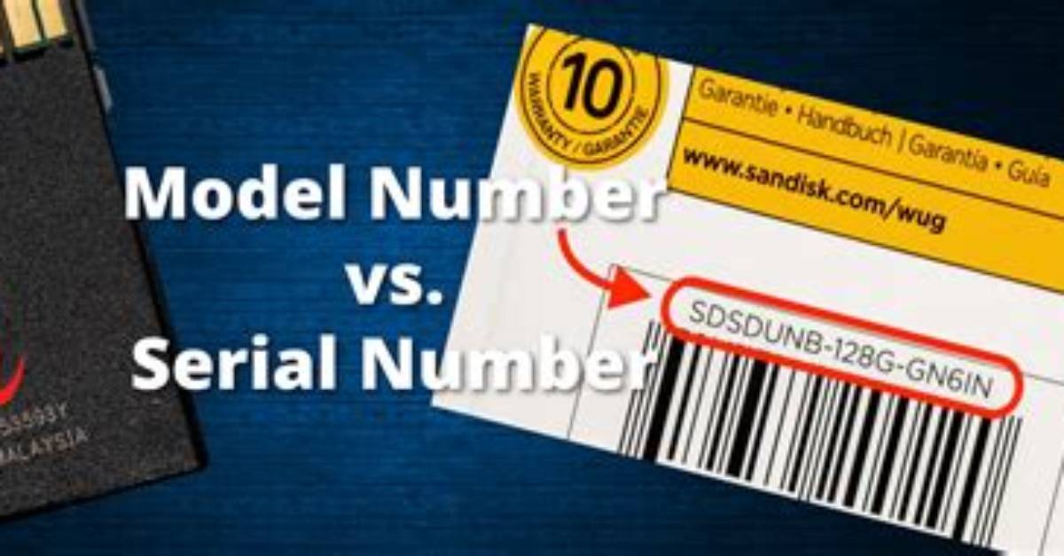 What Is a Number Model Example?