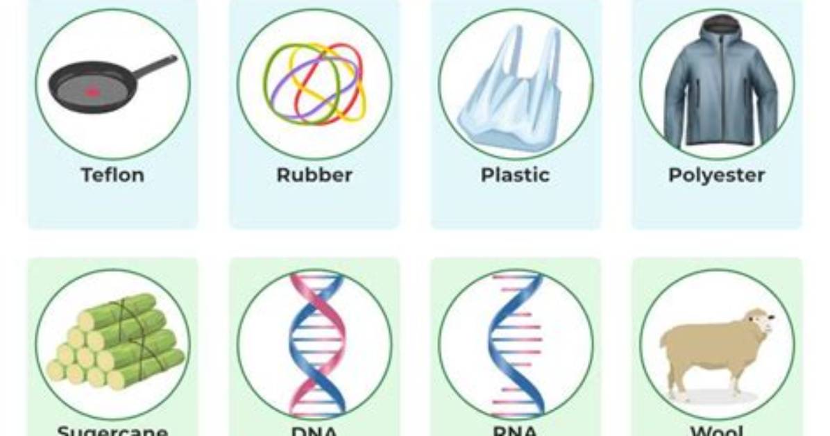 What Is a Polymers Example