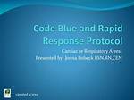 What Is a Rapid Response Code?