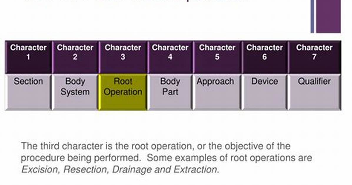 What Is a Root Operation Code