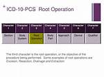 What Is a Root Operation Code