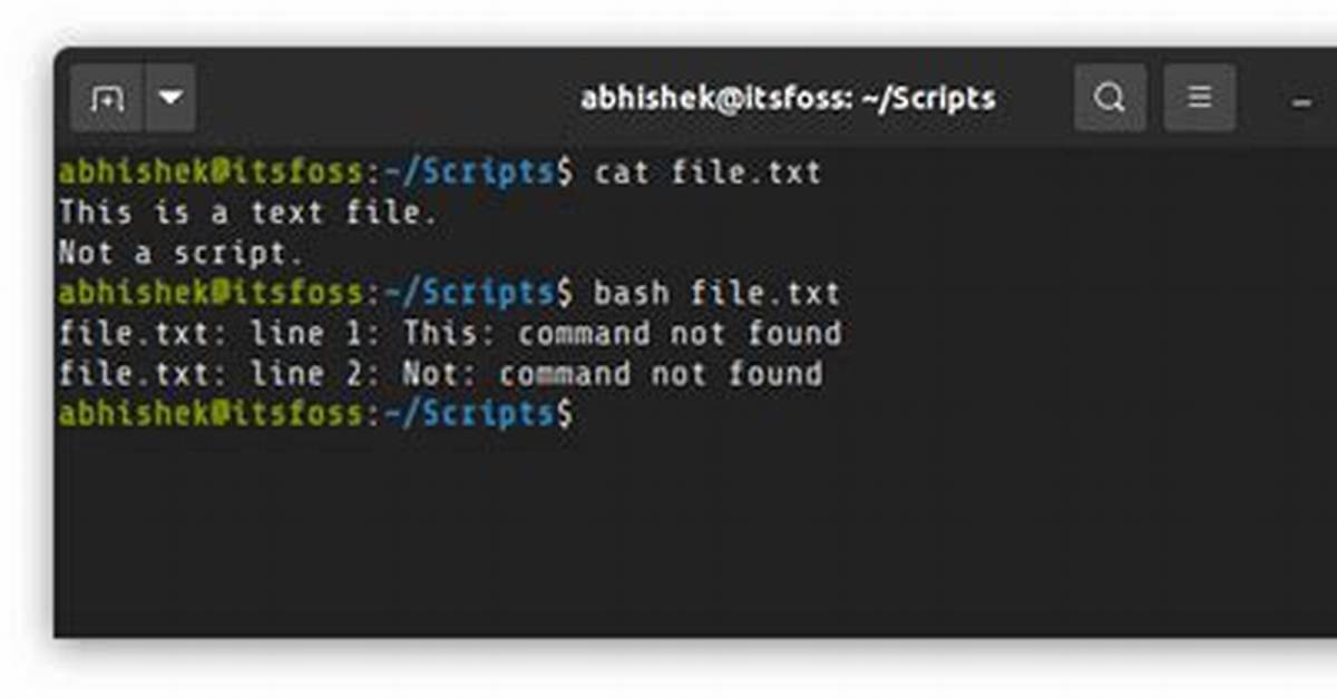 What Is a Script File in Linux?