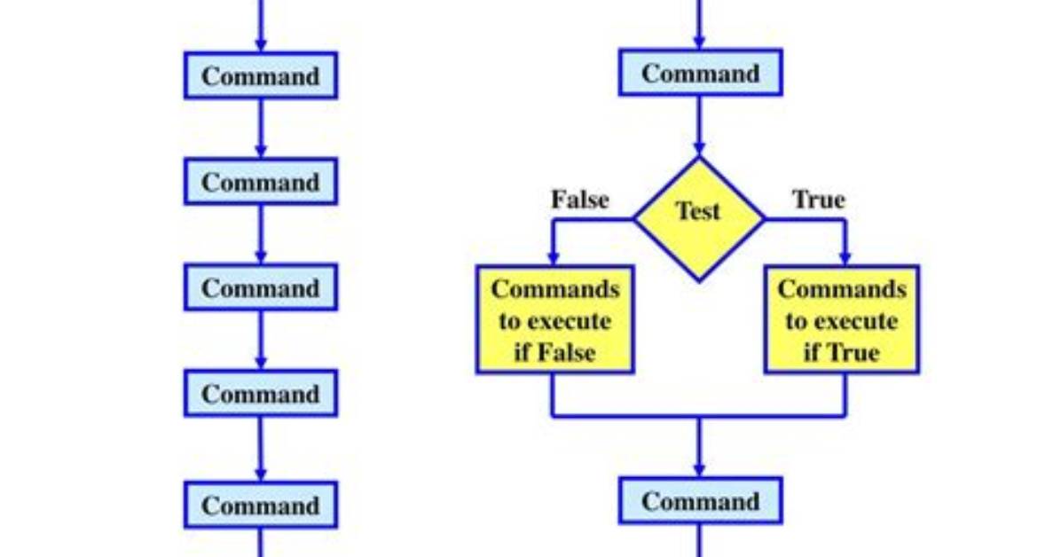 What Is a Selection Control Structure?