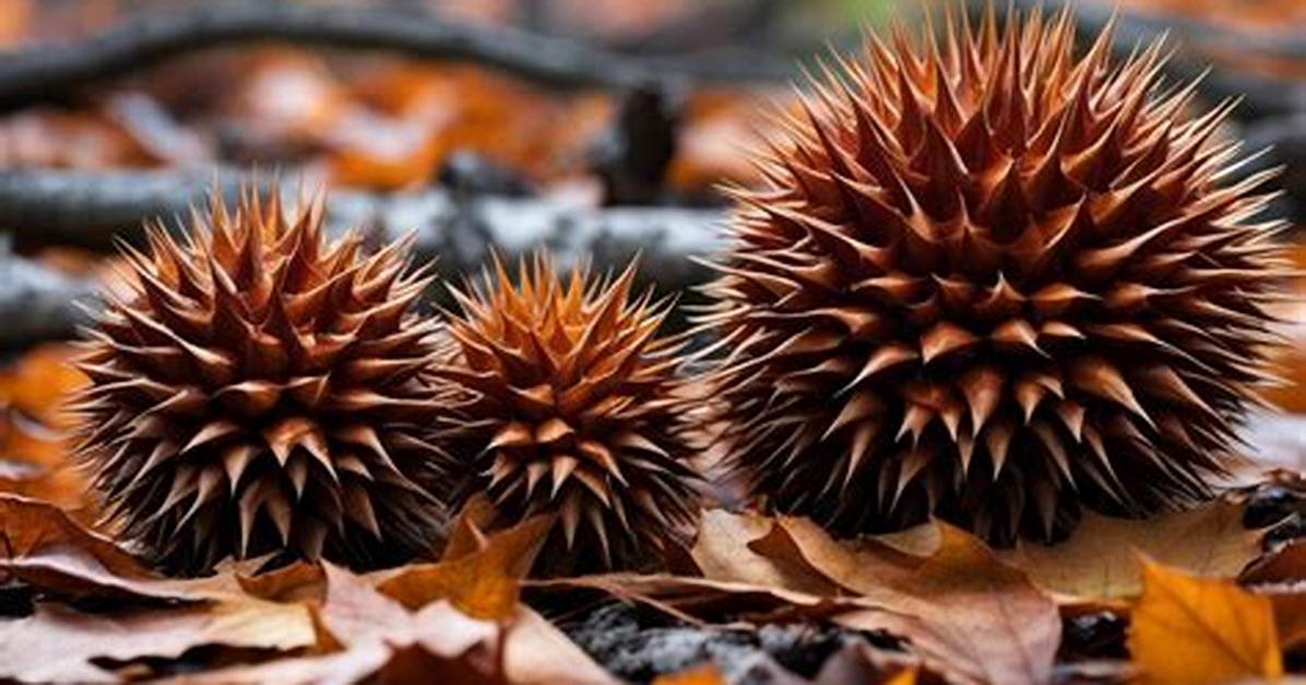 What Is a Spiky Thing?