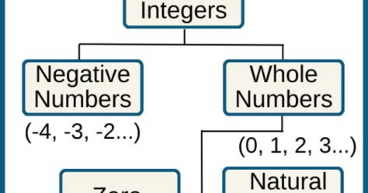 What Is a Type 0 Integer?