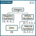 What Is a Type 0 Integer?